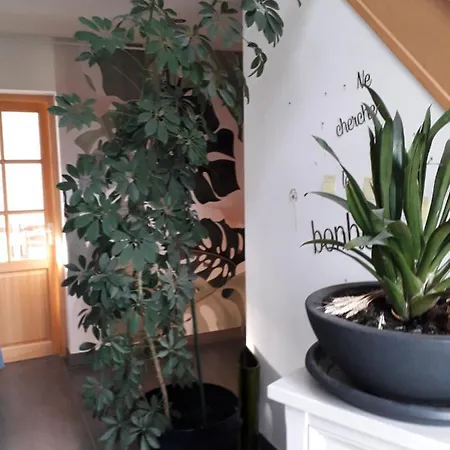 Superbe Maison De Campagne Pour 10 Personnes